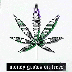 cannabis leaf graphic with money pattern