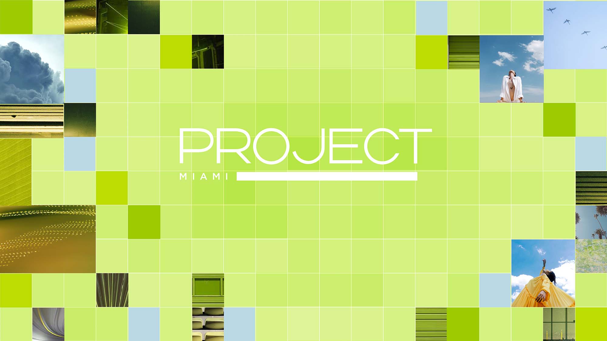 PROJECT MIAMI CAMPAIGN 2