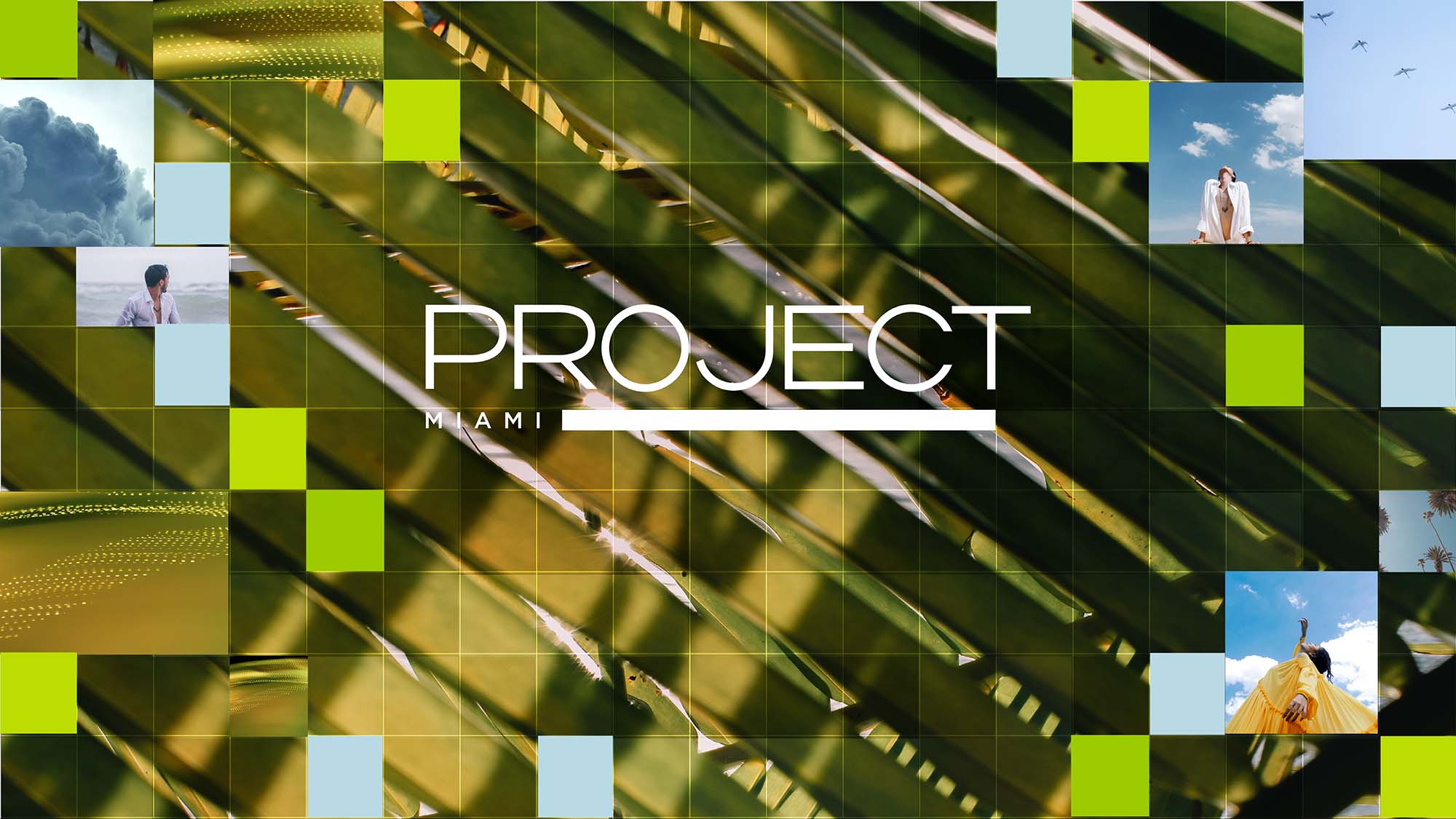 PROJECT MIAMI CAMPAIGN 4